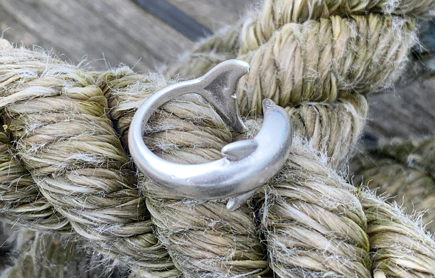 Dolphin Ring